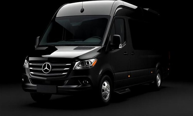 Minibus category